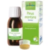 BOIRON Srl Boiron Pinus Montana 1DH Macerato Glicerinato 60 ml - Medicinale Omeopatico Outlet