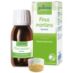 BOIRON Srl Boiron Pinus Montana 1DH Macerato Glicerinato 60 ml - Medicinale Omeopatico Outlet