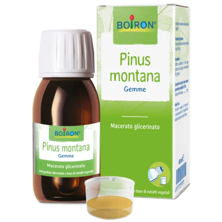 BOIRON Srl Boiron Pinus Montana 1DH Macerato Glicerinato 60 ml - Medicinale Omeopatico Outlet