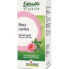 BOIRON SPECIALITA' Boiron Rosa Canina Macerato Glicerinato 60 ml - Medicinale Omeopatico New