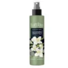 ZETA Euphidra Acqua Profumata Tonificante Corpo Essenza Gelsomino Orientale 125 ml Clearance
