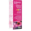 OPTIMA Echinacea Estratto No Alcool 50 ml - Integratore Difrese Naturali Sale