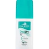 ITALSILVA COMMERCIALE Srl Sauber DeoDry Vapo 100 ml New