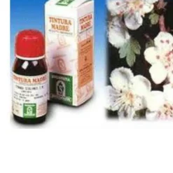 SPECCHIASOL NAMED Specchiasol Biancospino 10 Tintura Madre 50 ml Clearance