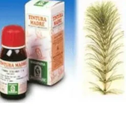 SPECCHIASOL Srl Specchiasol Equiseto 12 Tintura Madre 50 ml