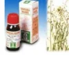 SPECCHIASOL Srl Specchiasol Soluzione Idroalcolica 4 Borsa del Pastore 50 ml Online