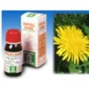 SPECCHIASOL NAMED Specchiasol Tarassaco 28 Tintura Madre 50 ml Hot