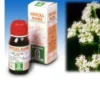 SPECCHIASOL Srl Specchiasol Valeriana 36 Tintura Madre 50 ml - Integratore Alimentare New