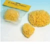 FARMAC-ZABBAN Spugna Naturale di Mare Extra Grande Bagno Doccia n° 7 Lusso - Clearance